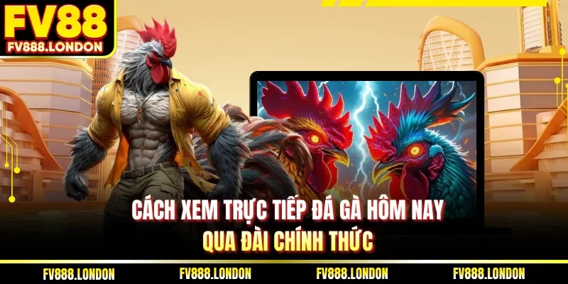 Cách Xem Trực Tiếp Đá Gà Hôm Nay Tại FV88 Nhanh Nhất Cách xem trực tiếp đá gà hôm nay qua đài chính thức